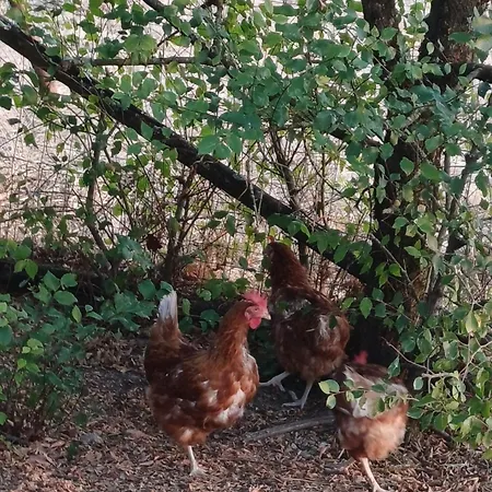 Le Le Marillet Tatil Evi *